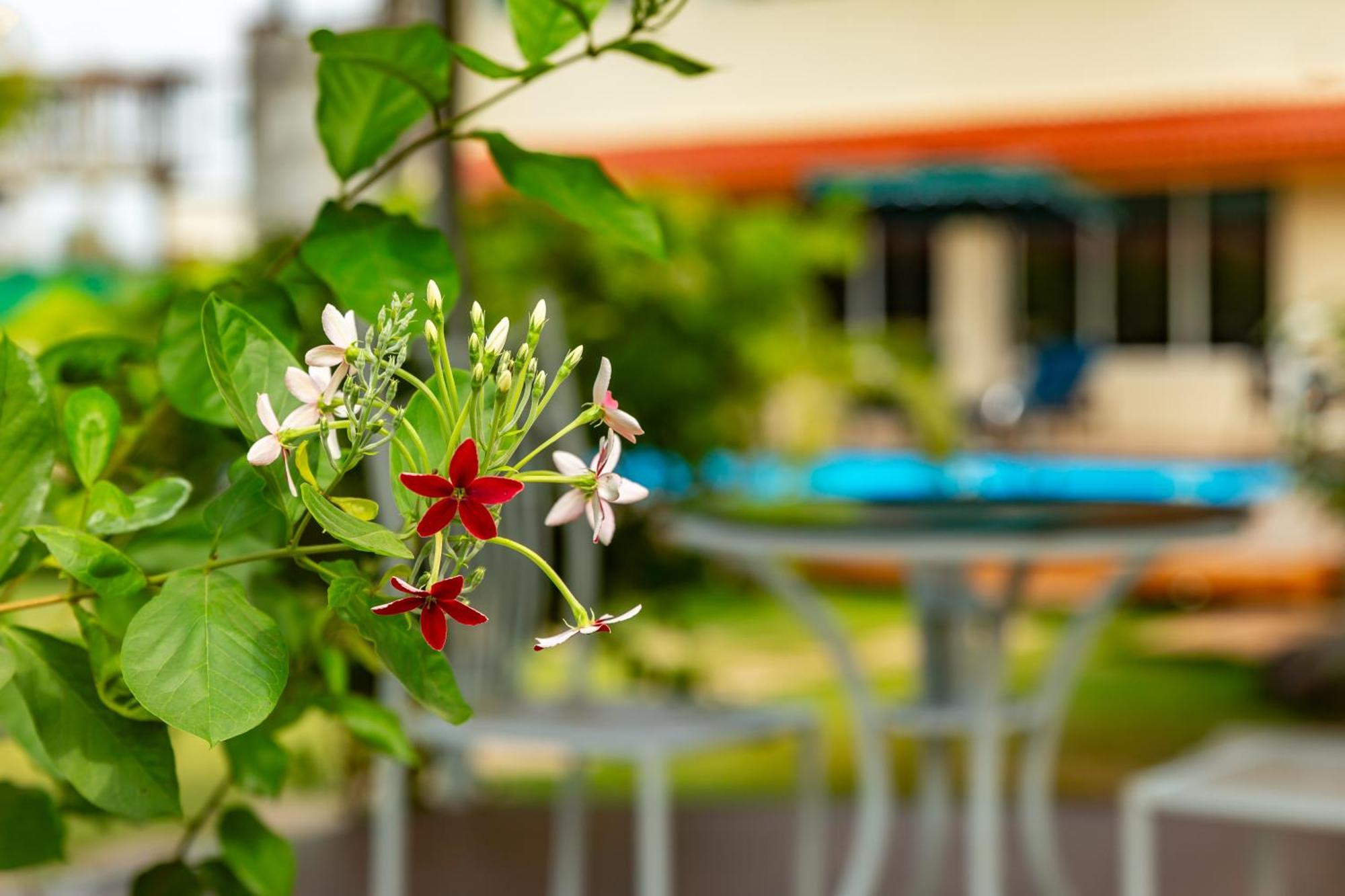 Casa Amora Lonavala Eksteriør billede